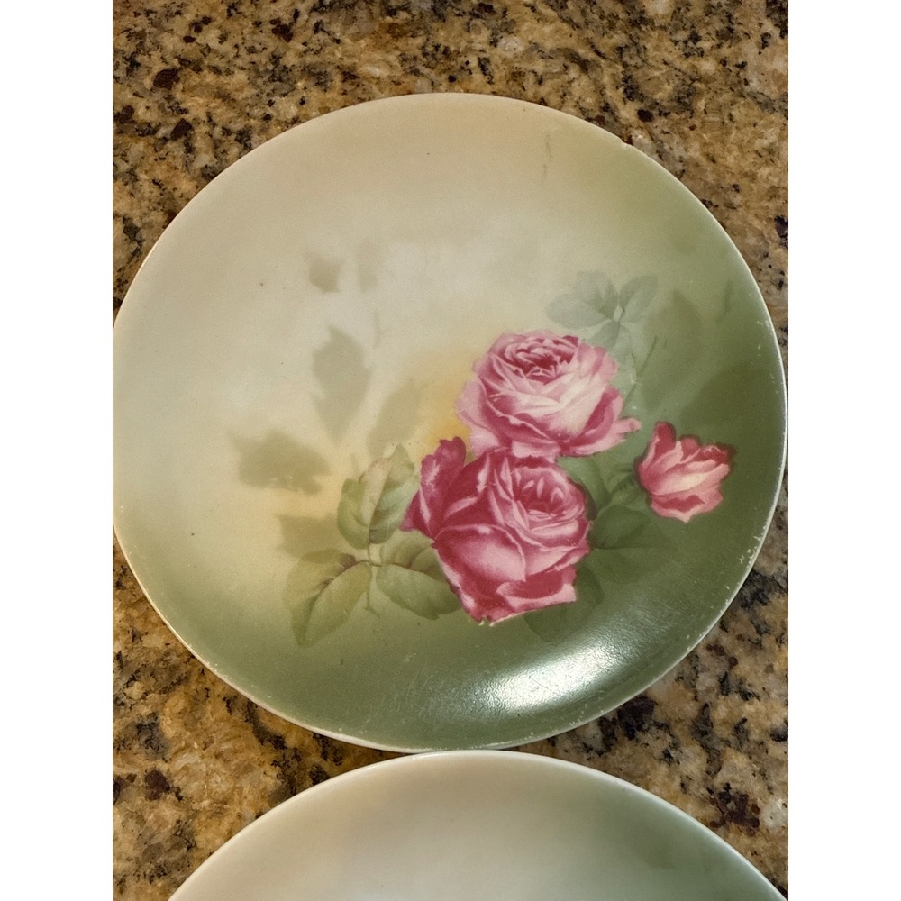 Antique German Porcelain Rose Plates Set of 2 Pink Floral Green 6.25 Inch AS IS - Picture 4 of 9